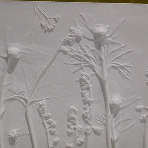 Anenome Chinensis Hand made Botanical Plaster wall art
