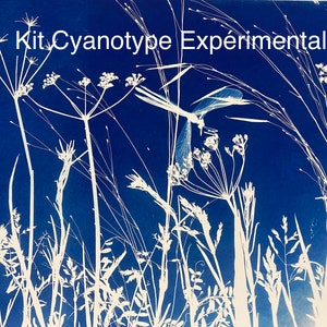 Sperimentazione con KIT cianotipia, fai da te, apprendimento, artigianato a casa, arte e chimica