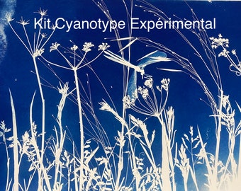 Experimentieren mit dem Cyanotypie-KIT, Heimwerken, Lernen, Basteln zu Hause, Kunst und Chemie