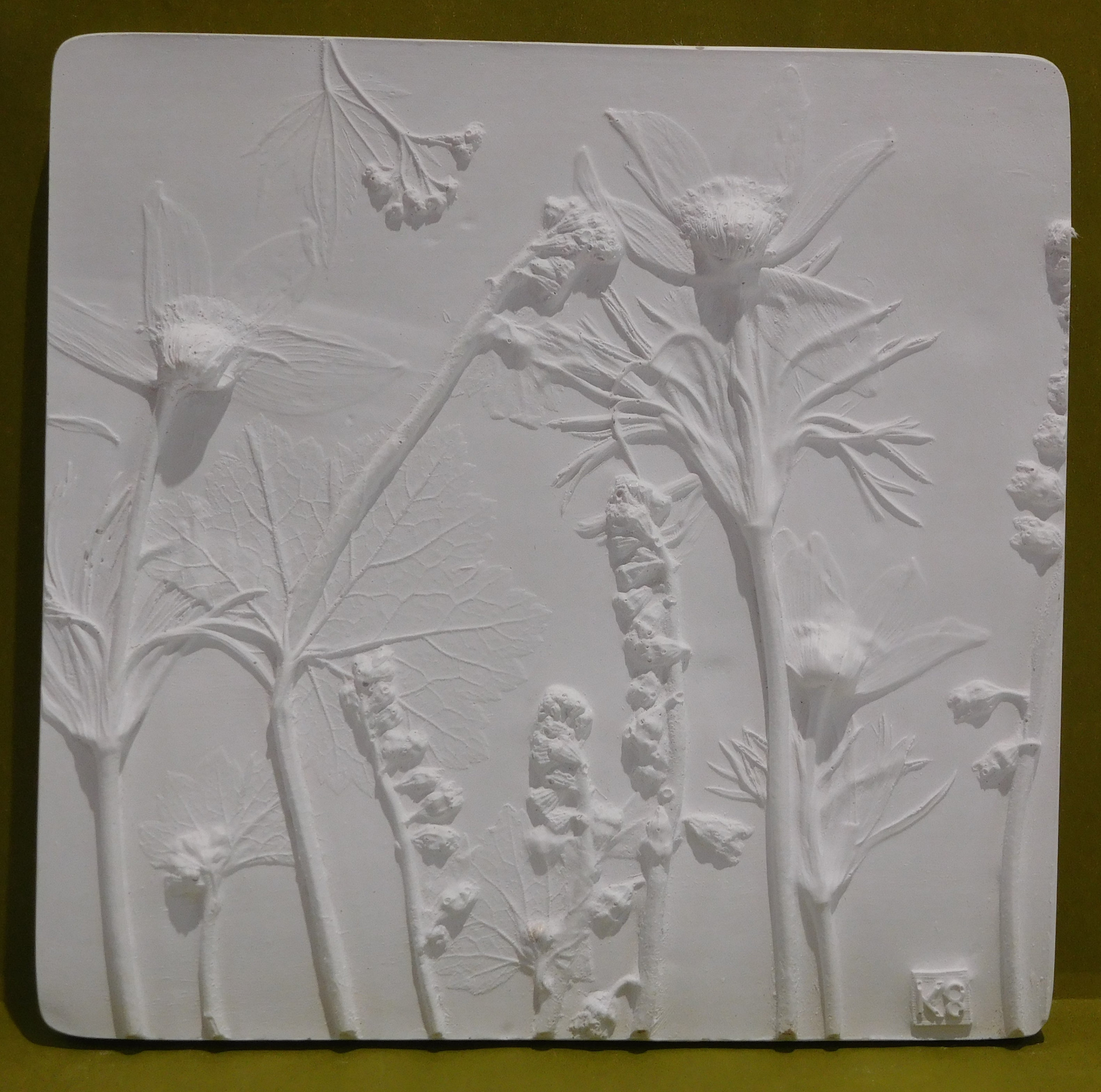 Anenome Chinensis Hand Made Botanical Plaster Wall Art