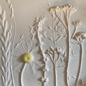 Marguerite, Achillea & Nettle  -  Hand made Botanical Plaster wall hanging