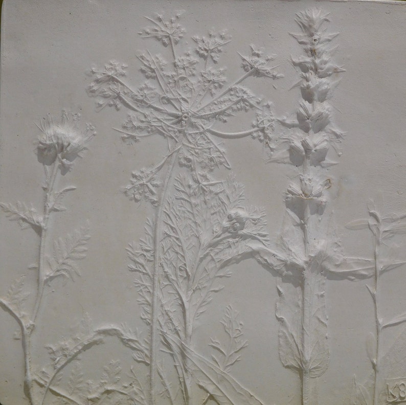 May include: A white plaster relief sculpture of three different types of plants. The plants are arranged in a vertical composition, with the tallest plant on the right side of the image. The plants are all in a natural, organic style, with delicate details.