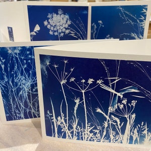 Lot de 4 cartes de voeux, cyanotype, aquarelle, fee, libelulle, cadeau abordable