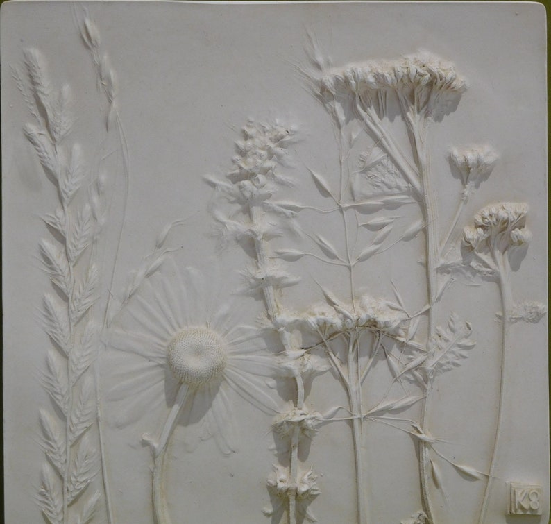 May include: A white plaster relief of pressed flowers and grasses. The flowers are arranged in a vertical pattern with a large daisy in the center. The relief is mounted on a white background.