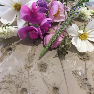 Exklusiver Online-Kurs zum Thema botanisches Flachrelief