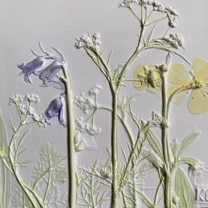 Könnte beinhalten: Ein weißer Hintergrund mit gepressten Blumen in Grün-, Weiß- und Gelbtönen. Die Blumen sind vertikal angeordnet, mit einer blauen Blume auf der linken Seite des Bildes.