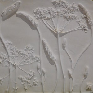 May include: A white plaster relief sculpture of pressed plants, including a large flower with multiple stems and smaller flowers and grasses.