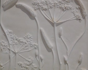 Sanguisorba Canadensis Botanical Bas Relief