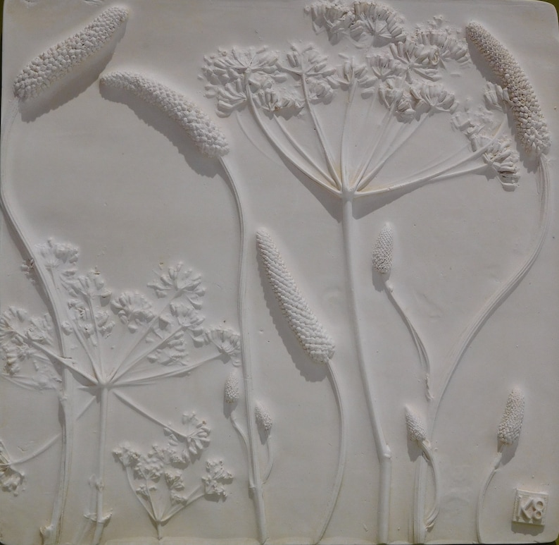 May include: A white plaster relief sculpture of pressed plants, including a large flower with multiple stems and smaller flowers and grasses.