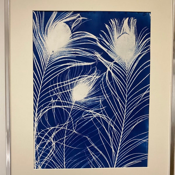 Plume de paon, cyanotype unique, unique en son genre, art mural