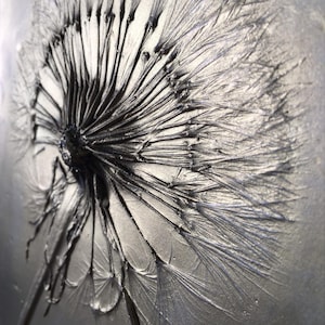 Enurese Noturna (Gigante), baixo-relevo botânico, arte em gesso, arte de parede, presente para ela, para a mãe