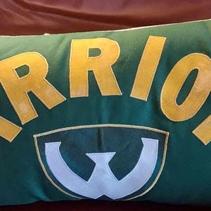 May include: Green and yellow pillow with the word "WARRIORS" in yellow letters and a white "W" logo in the center.