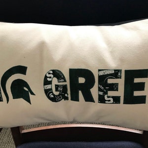 Lumbar GO GREEN Michigan State University Pillow Cover