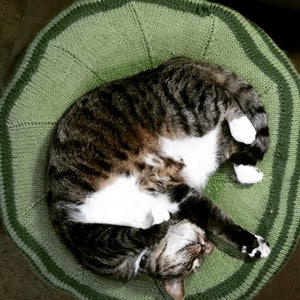 May include: A tabby cat with white markings is curled up and sleeping on a green knitted bed.