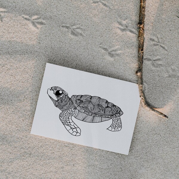 Postkarte Schildkröte Tortoise Turtle