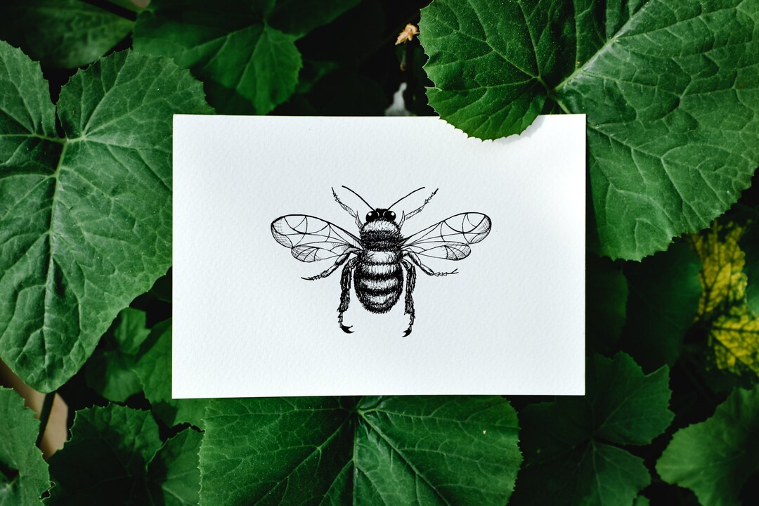 Postcard Bee Bee - Etsy