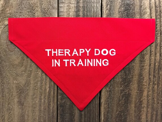 therapy dog in training bandana