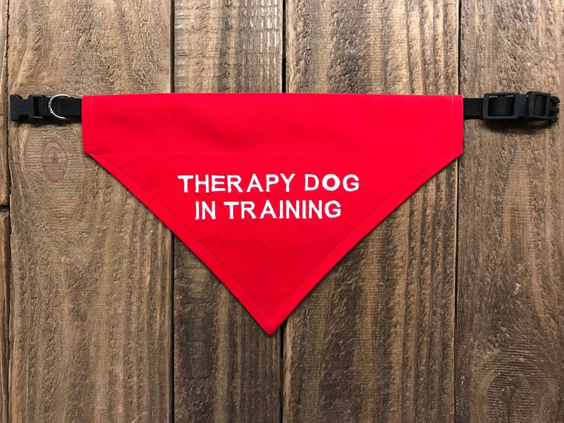 Therapy Dog In Training Over the Collar Dog Bandana Etsy
