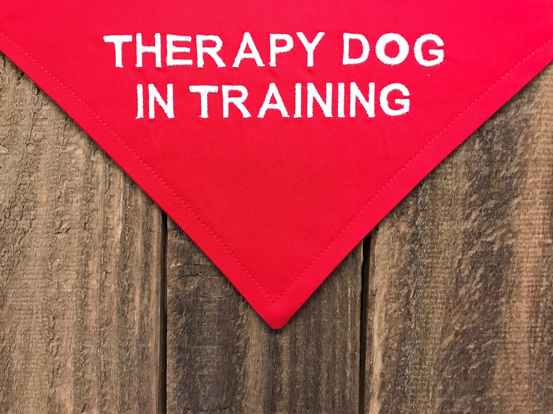 Therapy Dog In Training Over the Collar Dog Bandana Etsy