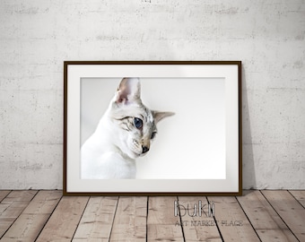 Cat photography, Cat Art Print, Wall Decor,  instant digital download, Nursery Wall Art,  Cat Poster Art, Home Decoration,  Printable Art