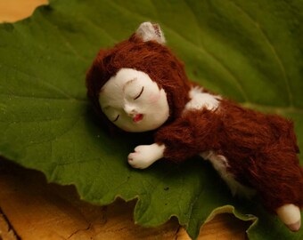Slippin forest, 8.5 sm
