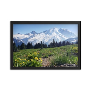 Mount Rainier National Park - Mount Rainier From Sunrise - Art Print - Wall Home Decor - Framed Poster - Gift (8x10-24x36 IN)