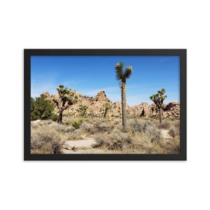 Joshua Tree National Park - Hidden Valley - Art Print - Wall Home Decor - Framed Poster - Gift (8x10-16x20 IN)