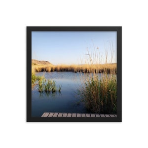 Big Bend National Park - Rio Grande Village Beaver Pond - Art Print - Wall Home Decor - Framed Poster - Gift (10x10-18x18 IN)