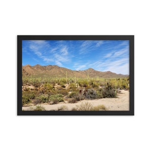 Saguaro National Park - Saguaro Wald - Art Print - Wall Home Decor - Geschenk (20,5 x 25,5 x 20 cm)