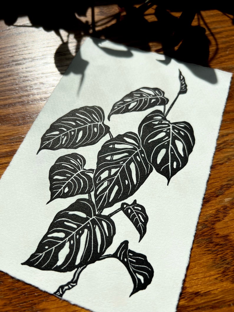 K&ouml;nnte beinhalten: Schwarz-wei&szlig;-Linienkunst-Druck einer Monstera-Pflanze mit gro&szlig;en Bl&auml;ttern. Der Druck ist auf wei&szlig;em Papier.