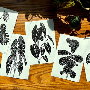 K&ouml;nnte beinhalten: F&uuml;nf Schwarz-Wei&szlig;-Linolschnitte verschiedener Zimmerpflanzen, darunter eine Monstera, ein Philodendron und ein Ficus. Die Drucke sind auf wei&szlig;em Papier und in einer Reihe auf einem Holztisch angeordnet.
