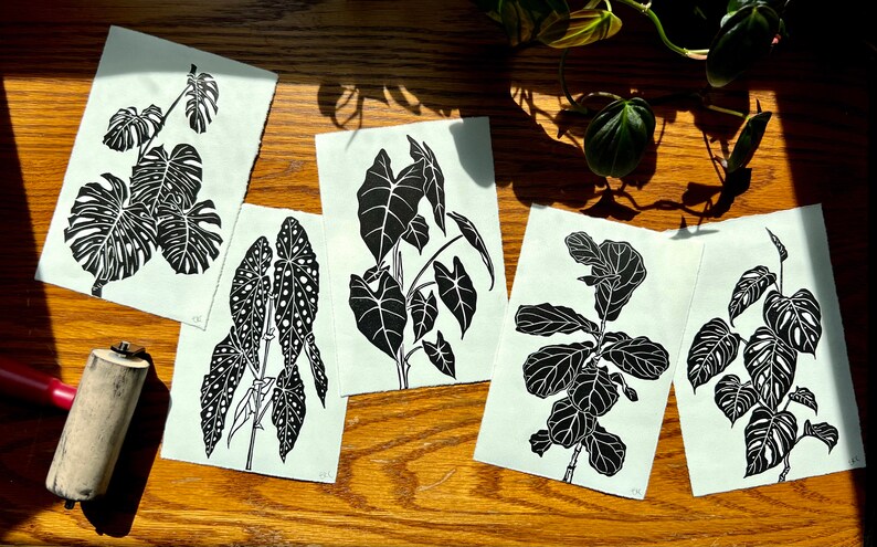 K&ouml;nnte beinhalten: F&uuml;nf Schwarz-Wei&szlig;-Linolschnitte verschiedener Zimmerpflanzen, darunter eine Monstera, ein Philodendron und ein Ficus. Die Drucke sind auf wei&szlig;em Papier und in einer Reihe auf einem Holztisch angeordnet.
