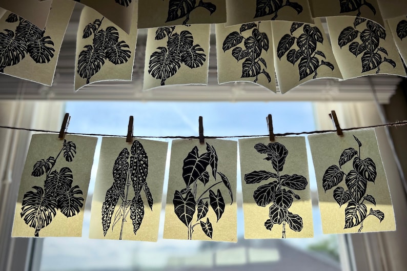 K&ouml;nnte beinhalten: Acht Schwarzwei&szlig;illustrationen verschiedener Pflanzen h&auml;ngen an einer W&auml;scheleine. Die Illustrationen sind auf cremefarbenem Papier gedruckt und mit einem d&uuml;nnen schwarzen Rahmen versehen.