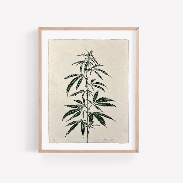 Handmade Original Cannabis Sativa Linocut Print on Hemp Paper - Marijuana Art - Botanical Print - Printmaking