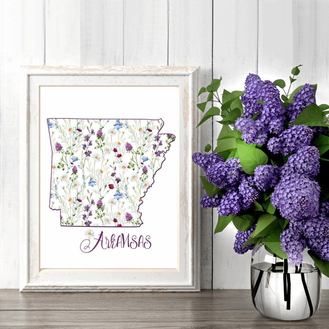 Arkansas Wall Art Printable Map of Arkansas Chamomile Daisies