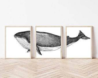 Whale Modern Print, Coastal Wall Art, Nautical Home Decor,  Whale, Nursery Beach, Triptych, Set of 3 Art Printable, Bedroom Print, Digital