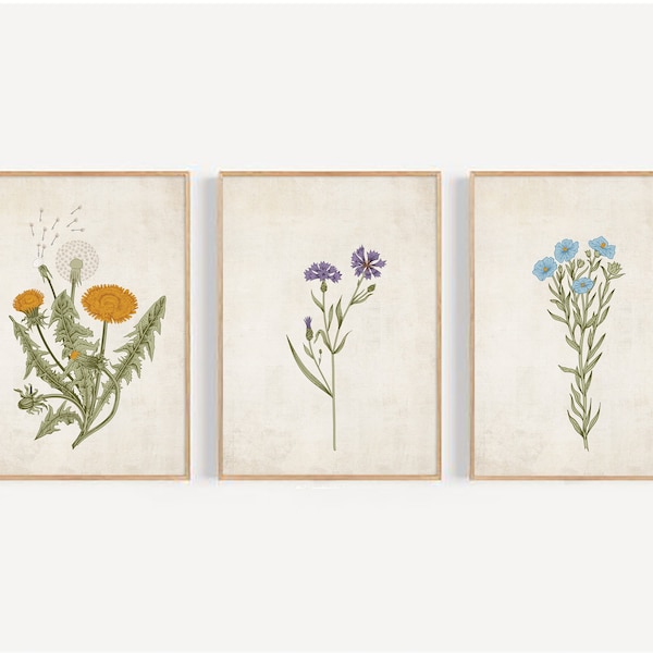 Set of 3 Antique Wild Flower PRINT, Rustic Farmhouse Print set, botanical wall art, Botany art, Botanical posters, Vintage art, chic decor