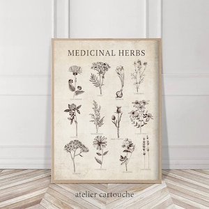 Medicinal Herbs Vintage Kitchen Wall Art Poster, Antique Botanical Plant Drawings, Rustic Decor, Instant download, Farmhouse Vintage chic