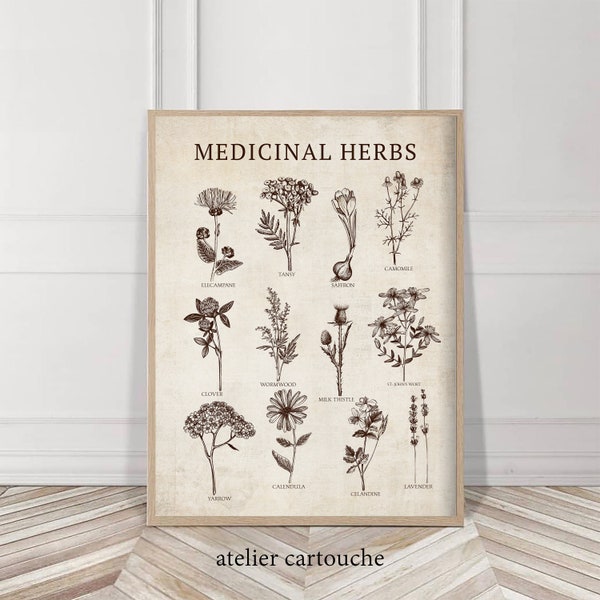 Medicinal Herbs Vintage Kitchen Wall Art Poster, Antique Botanical Plant Drawings, Rustic Decor, Instant download, Farmhouse Vintage chic