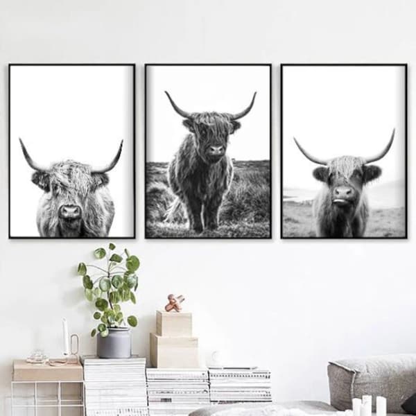 Set of 3 Highland Cow Print, Farmhouse Decor, Black and White, Rustic Cow Photo, Printable Digital Download, Rustic Decor, Farm decor, cows