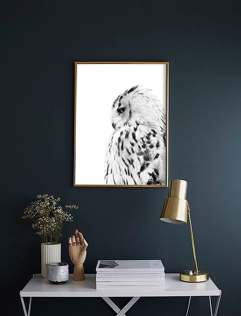White Owl Print Digital Prints Blue Eye Owl Animal Wall Etsy white-owl-print-digital-prints-blue-eye-owl-animal-wall-etsy