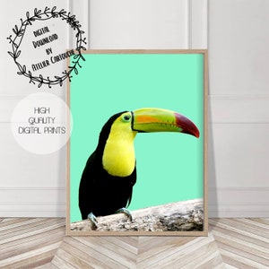 Bird Print, Tropical Parrot Wall Art, Toucan Bird, Tropical Decor, Printable Art, Colourful Bright, Turquoise Black Yellow, Bird Photography