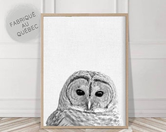 Owl Print, Woodlands Nursery Wall Art, Printable Poster, Black White and Grey, Animal Photo, Gender Neutral Kids Room, Digital Download