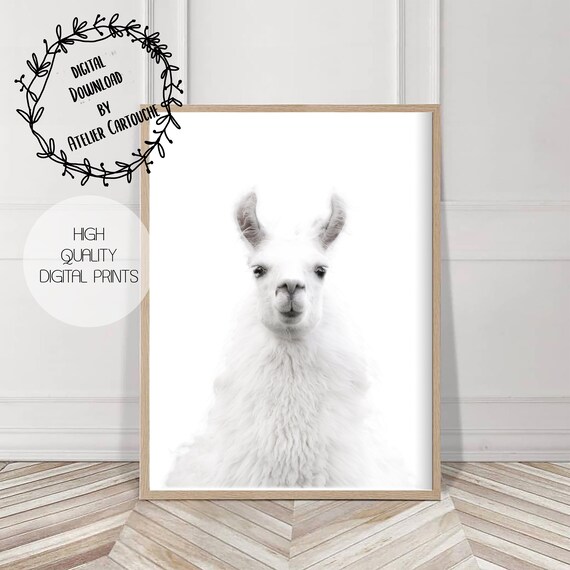 Buy White Lama Alpaca Print Nursery Animal Decor Wall Art Alpaca Online in India - Etsy Buy White Lama Alpaca Print Nursery Animal Decor Wall Art Alpaca Online in India - Etsy