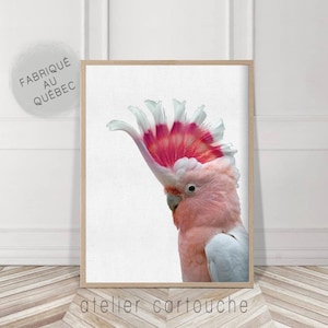 Pink Cockatoo, Prints, Cockatoo Bird, Digital Download, Gallah Wall Art, Printable, Tropical Print, Pink Wall Art, Australia