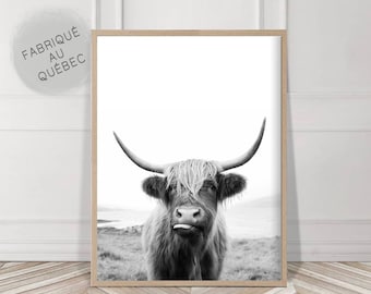 Highland Cow Print, Farmhouse Decor, Black and White, Rustic Cow Photo, Printable Digital Download, boho Decor, Farm Animal, Farm decor
