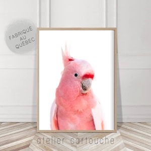 Pink Cockatoo, Australian bird, Cockatoo Bird, Digital Download, Gallah Wall Art, Printable, Tropical Print, Pink Art, Australia, pink bird