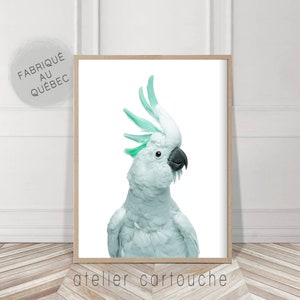 Mint Cockatoo, Australian bird, Cockatoo Bird, Digital Download, Gallah Wall Art, Printable, Tropical Print, Pink Wall Art, Australia