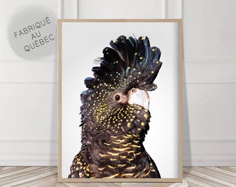 Schwarzer Kakadu, Vogel Drucke, Kakadu Vogel, digitaler Download, große druckbare Wandkunst, Tropischer Druck, rosa Wandkunst, Australien Vogel