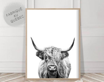 Highland Cow Print, Farmhouse Decor, Black and White, Rustic Cow Photo, Printable Digital Download, boho Decor, Farm Animal, Farm decor, Art